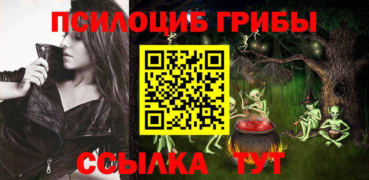 Псилоцибиновые грибы мицелий Рыбинск