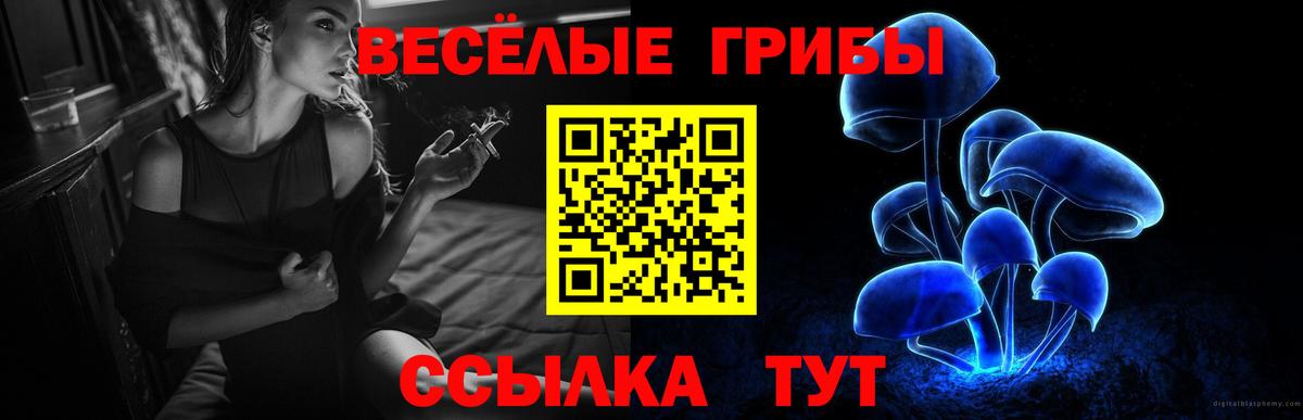 Рыбинск  Галлюциногенные грибы Magic Shrooms  Вход с VPN 